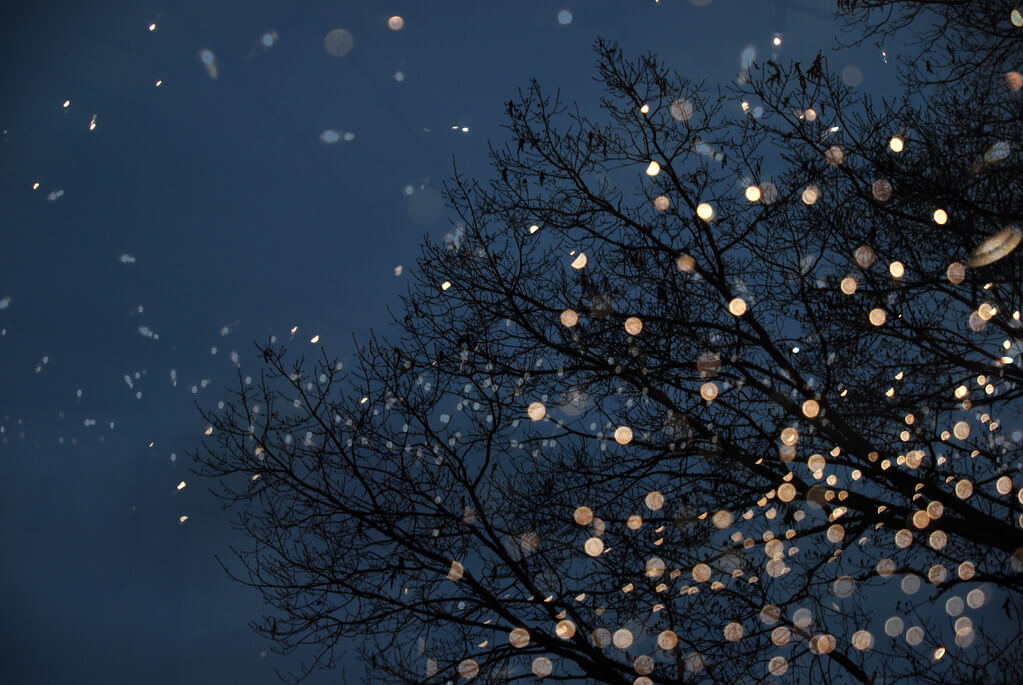 Rachel Sapp - tree lights double exposure