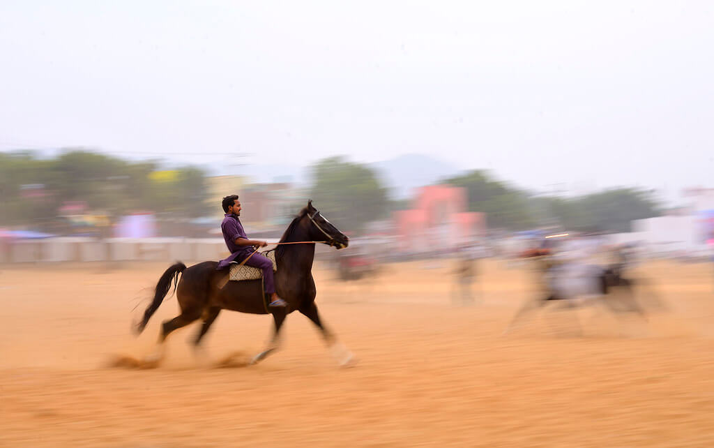 Nimit Nigam - Horse Riding