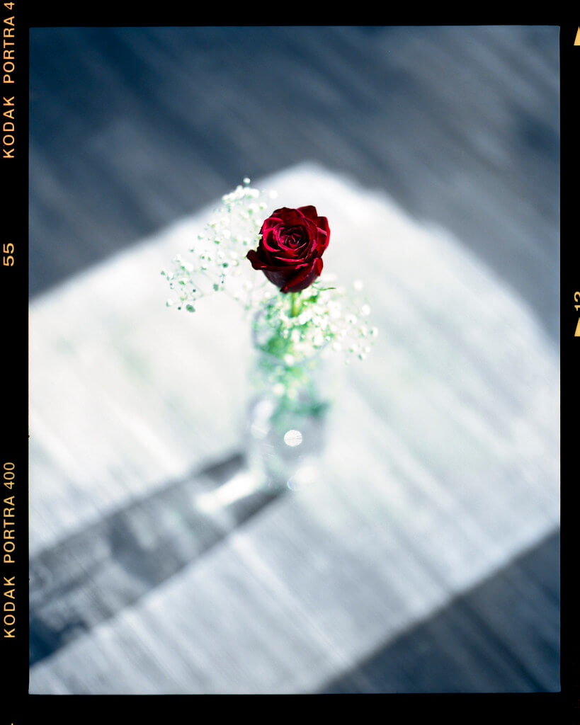Tim McCarthy - The Rose