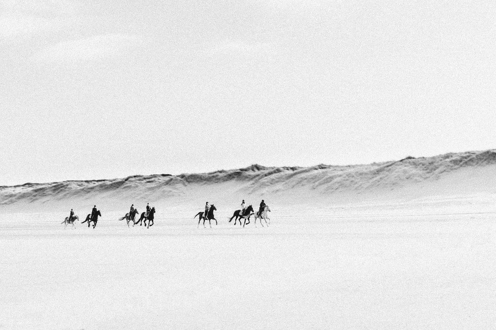 Koen Jacobs - horses running on beach