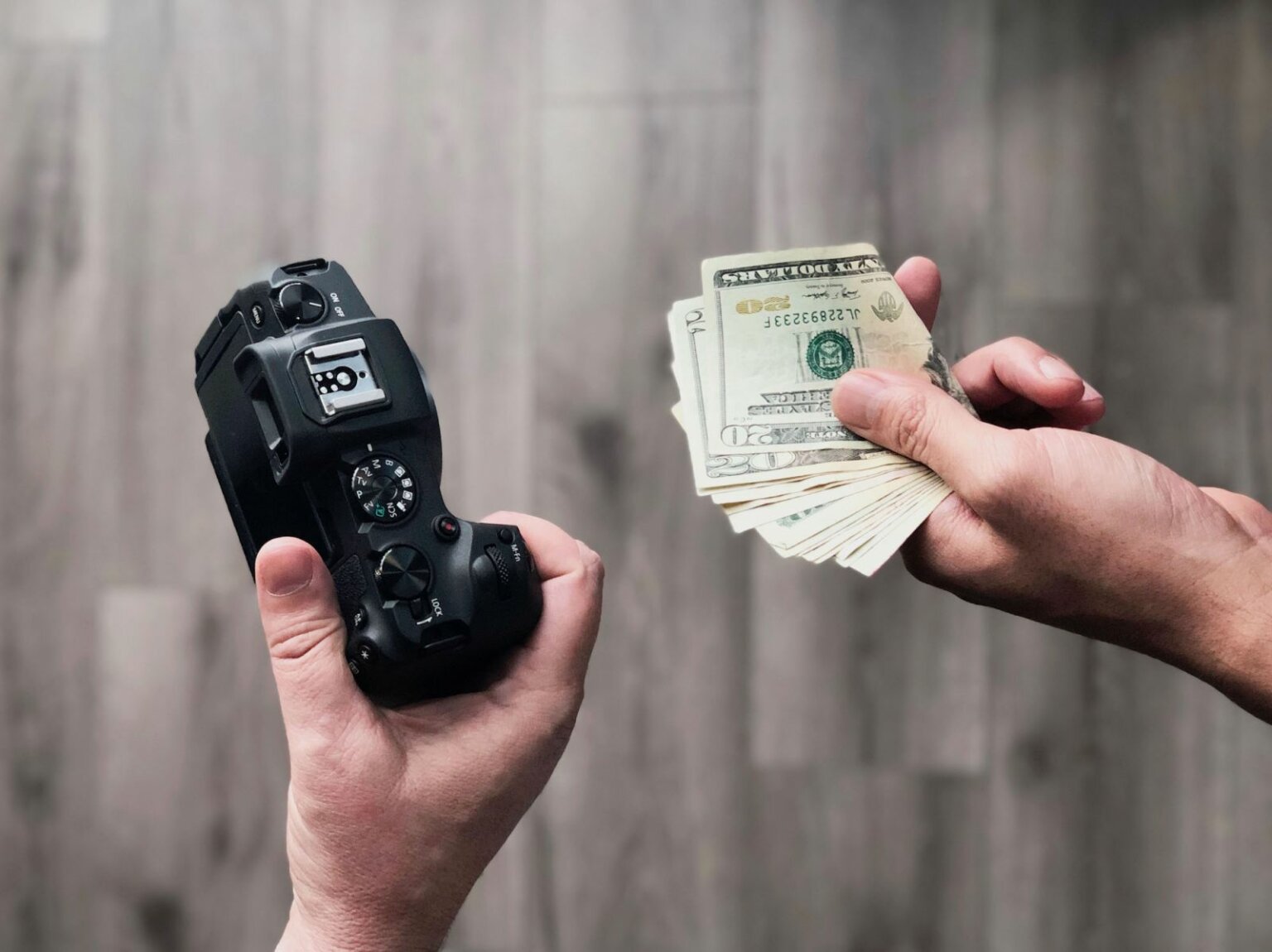 How to Build a More Environmentally Sustainable Photography Business