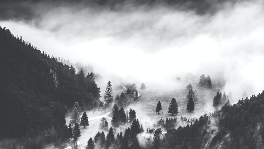Capture Timeless Moments A Beginner s Guide To Black And White 