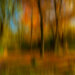 Paul Shears - Autumn Abstract